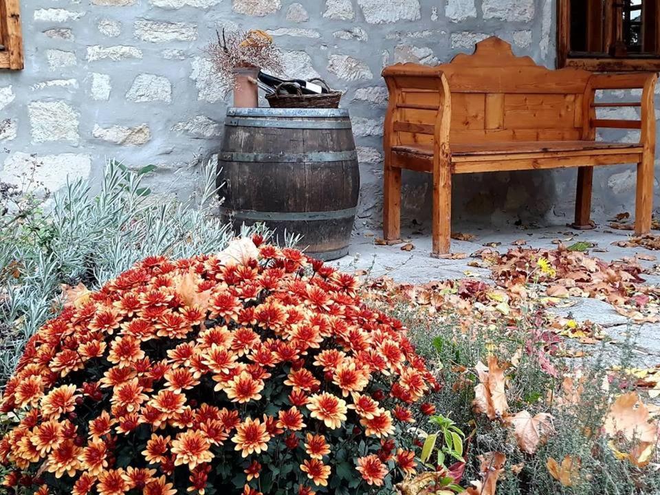 Karadi-Berger Vendeghaz Διαμέρισμα Erdőbénye Εξωτερικό φωτογραφία