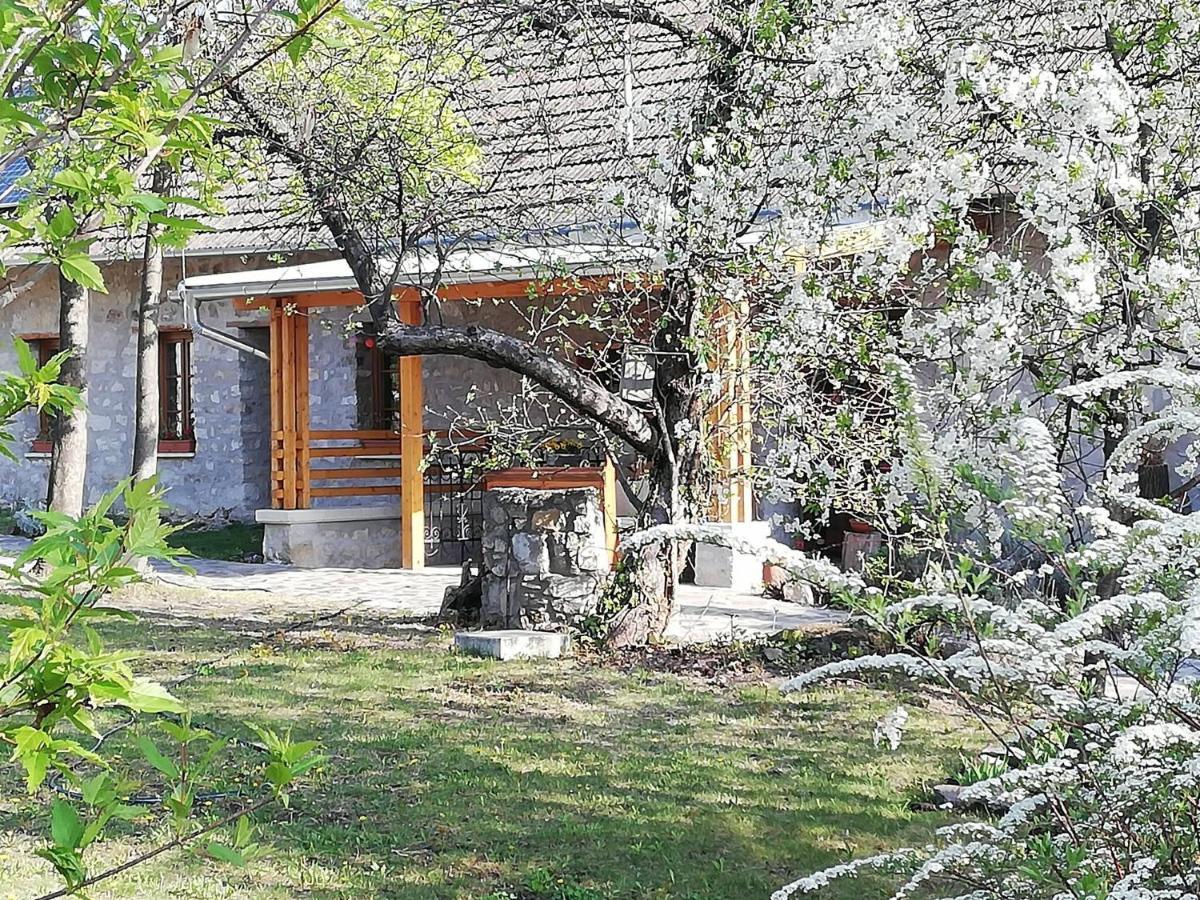 Karadi-Berger Vendeghaz Διαμέρισμα Erdőbénye Εξωτερικό φωτογραφία