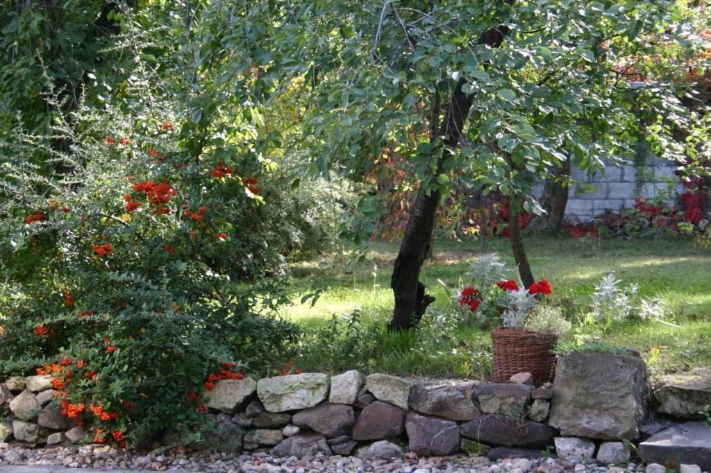 Karadi-Berger Vendeghaz Διαμέρισμα Erdőbénye Εξωτερικό φωτογραφία