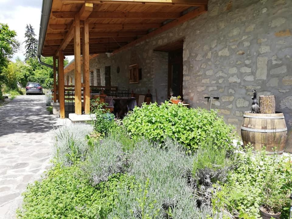 Karadi-Berger Vendeghaz Διαμέρισμα Erdőbénye Εξωτερικό φωτογραφία